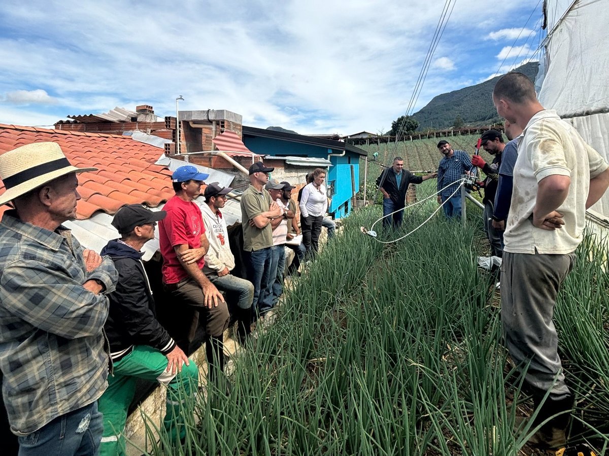 Medellín emprenderá cuatro proyectos del Programa Agropecuario Distrital que contarán con $23.000 millones en el cuatrienio