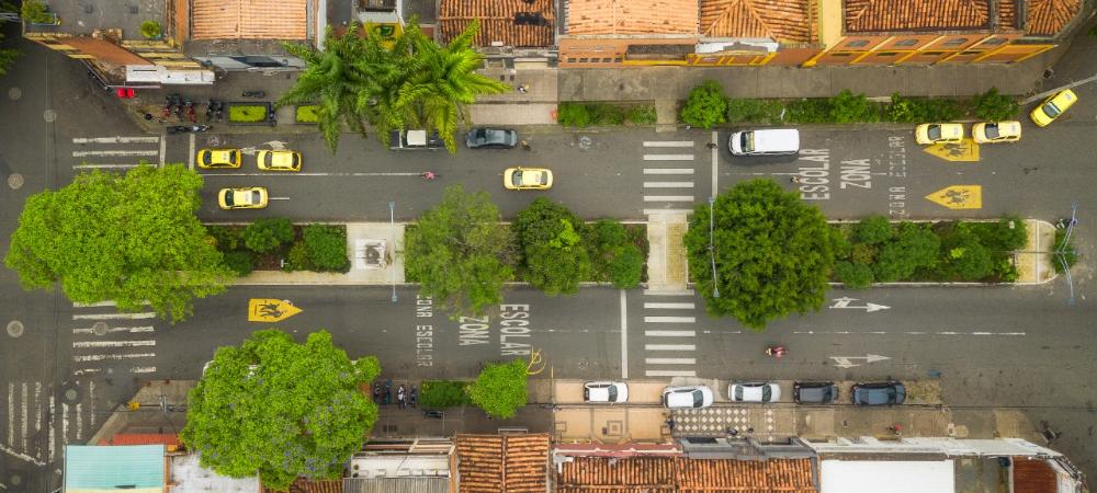 Corredores verdes de Medellín ganan premio internacional de sostenibilidad